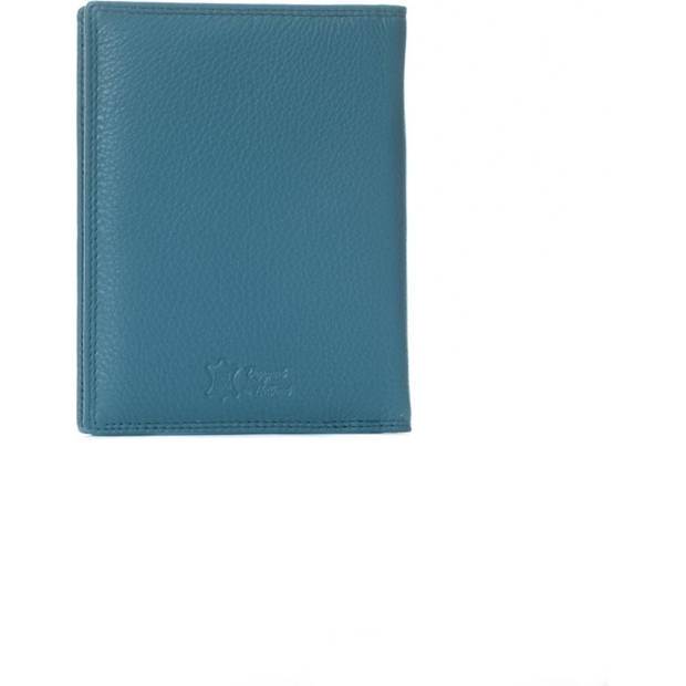 Paspoort hoesje - Klein - Leer - Turquoise