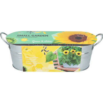 Buzzy - Grow gifts kweekset small garden happy sunflower