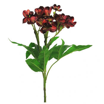 Buitengewoon de Boet - Kunstbloem Helleborus niger spray red 59 cm