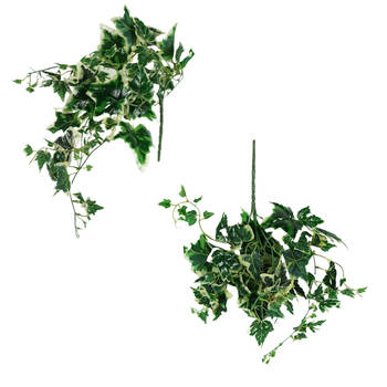 Kunstplant Hedera klimop Holland groen wit 55 x35 cm cm - 2 Stuks