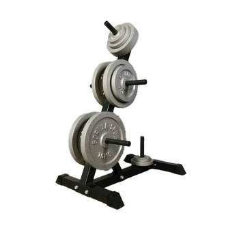 Gorilla Sports Standaard met Gietijzeren Gewichten - 77,5 kg - 13 Schijven - Houder