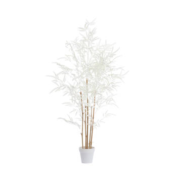 Light & Living - Kunstplant BAMBOO - 70x60x120cm - Bruin