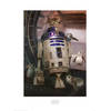 Kunstdruk Star Wars The Last Jedi R2D2 and Porgs 60x80cm