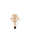 Light & Living - Kunstplant BAMBOO - 120x70x120cm - Goud