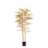 Light & Living - Kunstplant BAMBOO - 180x100x180cm - Goud