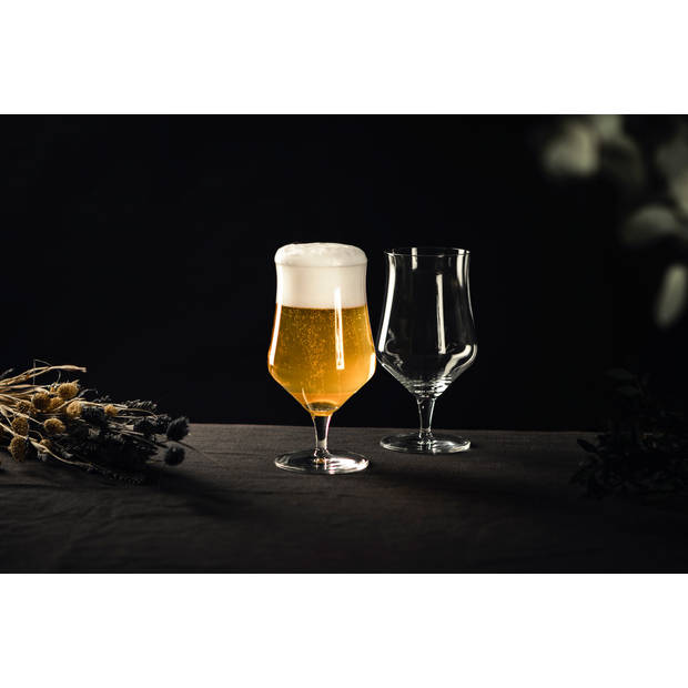 Schott Zwiesel Beer Basic Craft bierglas - 300ml - 4 glazen