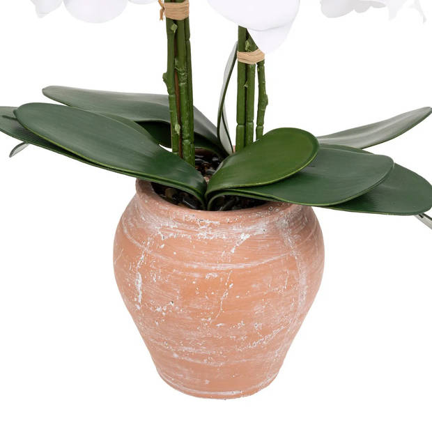 Atmosphera Orchidee bloemen kunstplant in sierlijke terracotta bloempot - witte bloemen - H65 cm - Kunstplanten
