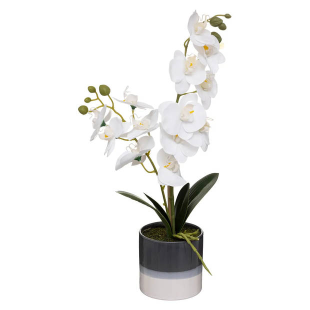 Atmosphera Orchidee bloemen kunstplant in sierlijke blauwe bloempot - 2x - witte bloemen - H45 cm - Kunstplanten
