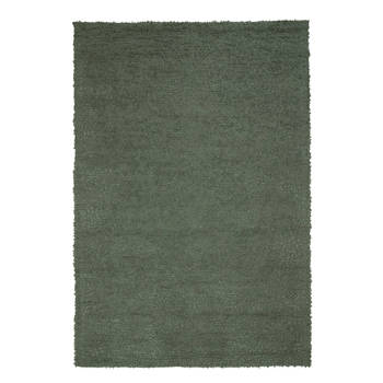 Light & Living - Vloerkleed HUMADA - 300x200x0.5cm - Groen