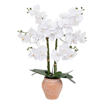 Atmosphera Orchidee bloemen kunstplant in sierlijke terracotta bloempot - witte bloemen - H65 cm - Kunstplanten