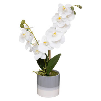 Atmosphera Orchidee bloemen kunstplant in sierlijke grijze bloempot - witte bloemen - H45 cm - Kunstplanten