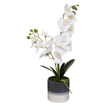 Atmosphera Orchidee bloemen kunstplant in sierlijke blauwe bloempot - witte bloemen - H45 cm - Kunstplanten