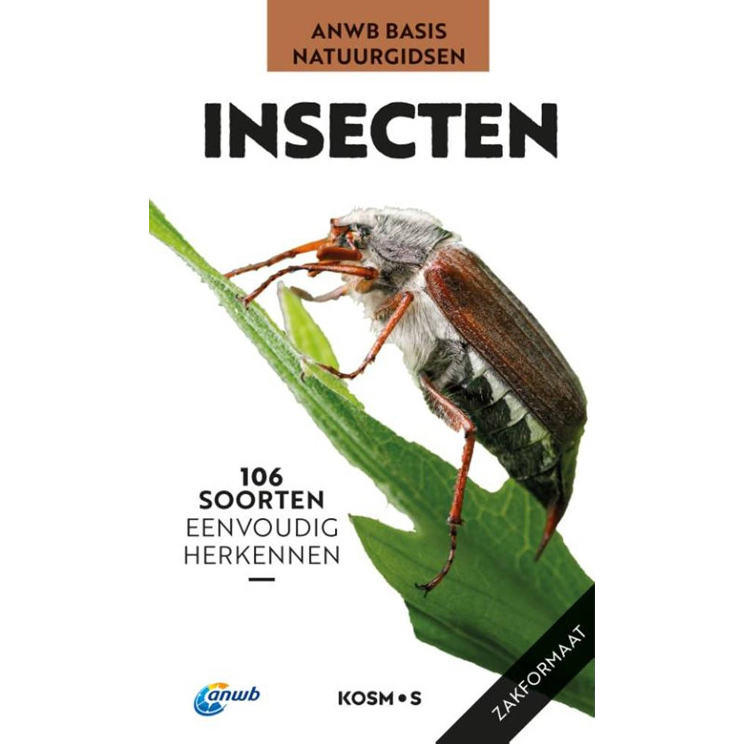 Insecten. 106 soorten eenvoudig herkennen, Roland Gerstmeier, Paperback