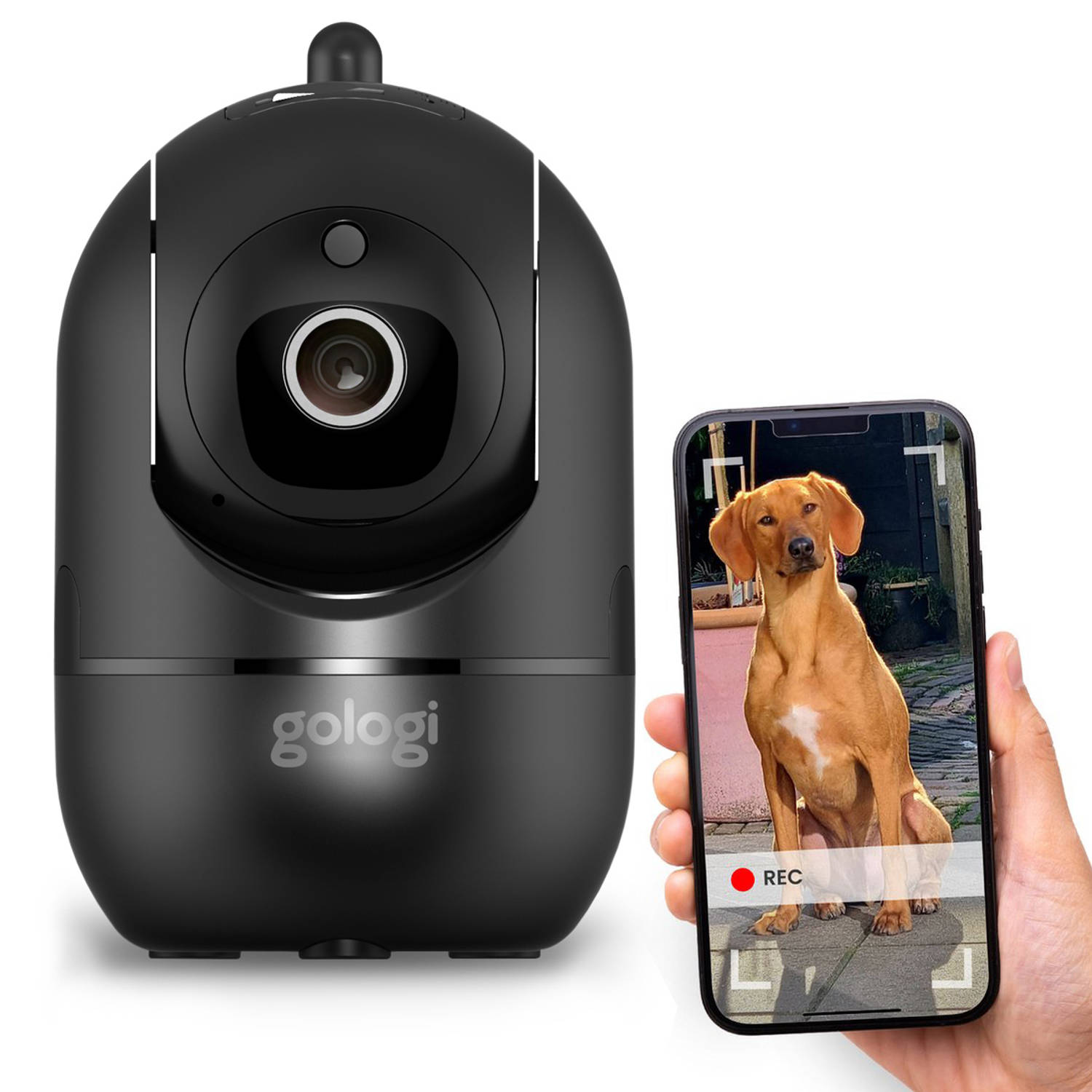 Gologi Huisdiercamera met App - Hondencamera - Pet camera - Beveiligingscamera - Security camera - Voor alle huisdieren - Met wifi - Zwart