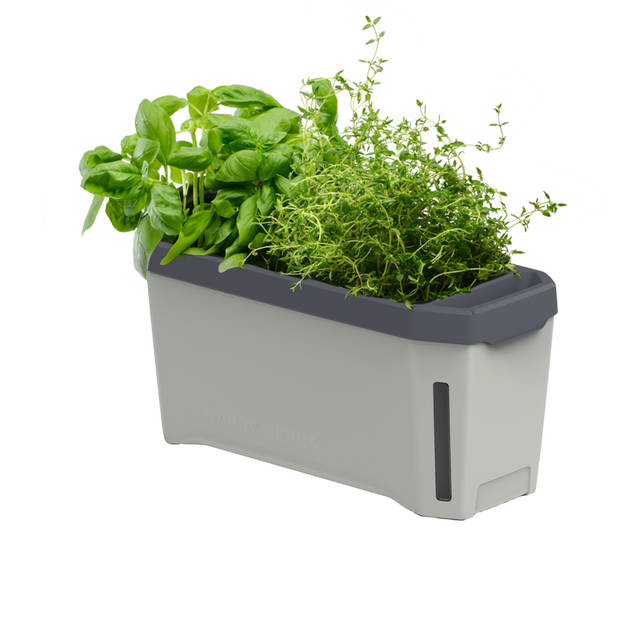 Gusta Garden Harry Herbs Houten Standaard met Houders