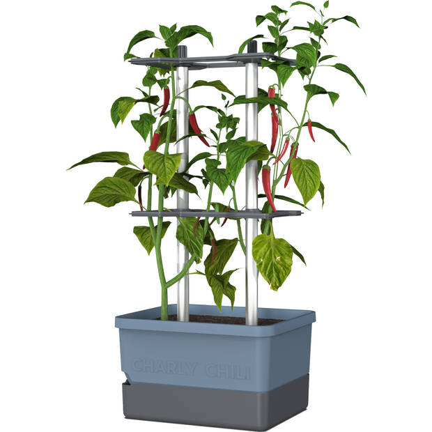 Gusta Garden Charly Chili kweekpot, Blauw