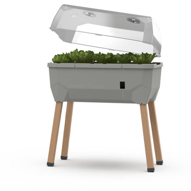 Gusta Garden Sammy Salad kweekbak met watertank en deksel, Grijs