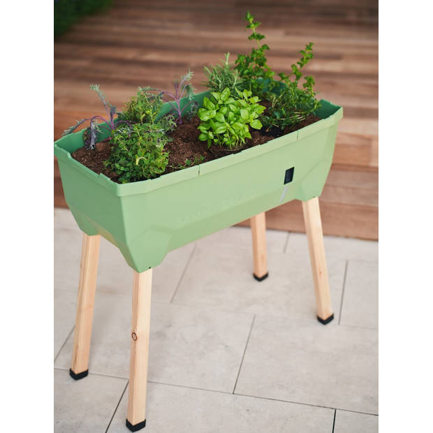 Sammy Salad kweekbak met watertank en deksel - Gusta Garden - Groen - 790 x 950 x 375 mm