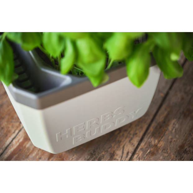 GUSTA GARDEN Herbs Buddy zelfbewateringskruidenpot ideaal voor o.a. basilicum Groen