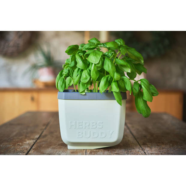 GUSTA GARDEN Herbs Buddy zelfbewateringskruidenpot ideaal voor o.a. basilicum Groen