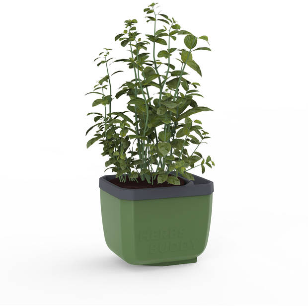 GUSTA GARDEN Herbs Buddy zelfbewateringskruidenpot ideaal voor o.a. basilicum Groen