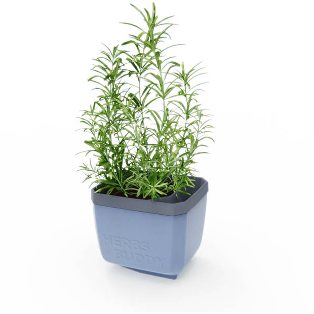 GUSTA GARDEN Herbs Buddy zelfbewateringskruidenpot ideaal voor o.a. basilicum Blauw