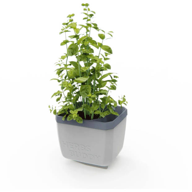 GUSTA GARDEN Herbs Buddy zelfbewateringskruidenpot ideaal voor o.a. basilicum grijs