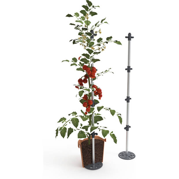 Gusta Garden Tomato Buddy Klimhulp voor Tomaten etc set van 3