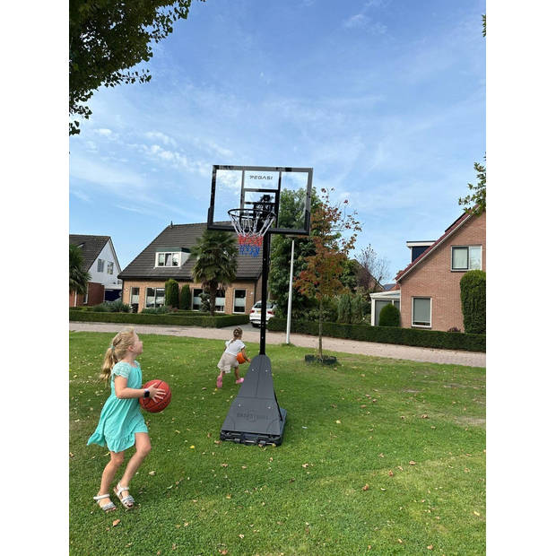 Pegasi basketbalpaal Home Pro 2.30 - 3.05