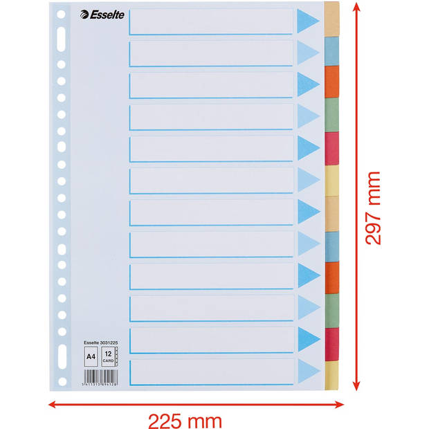 Esselte tabbladen 12 tabs, karton van 275 g/m² 25 stuks