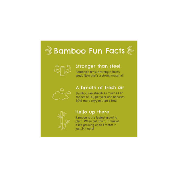 Munchkin Bamboo Suction Plates - Bamboe Bordje met Zuignap