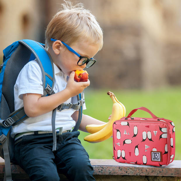 Brisby 4 Laags Geïsoleerde Koeltas - Lunchtas 2.5 liter - Pinguïn