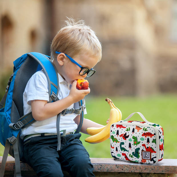 Brisby 4 Laags Geïsoleerde Koeltas - Lunchtas 2.5 liter - Dino