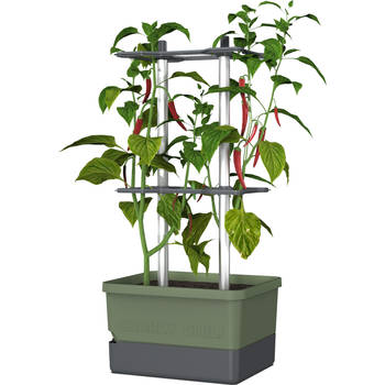 Gusta Garden Charly Chili kweekpot, groen