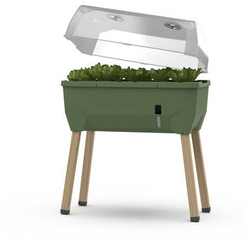 Gusta Garden Sammy Salad kweekbak met watertank en deksel, Groen