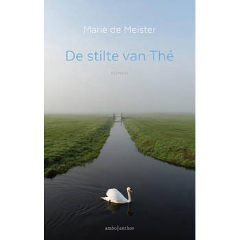 De stilte van Thé Marie de Meister