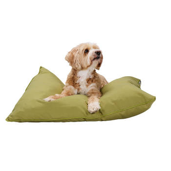 maxxpro Hondenmand - Hondenkussen 60 x 80 cm - Hondenbed - Kussen Hond met Rits - Polyester en Microvezel - Groen