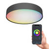 Calex Slimme Plafondlamp - Smart Plafonnière 30cm - RGB en Warm Wit - Zwart