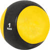 Gorilla Sports Medicijnbal - Medicine Ball - 1 kg