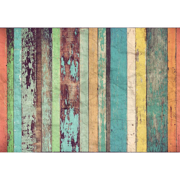 Fotobehang - Colored Wooden Wall 366x254cm - Papierbehang
