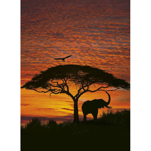 Fotobehang - African Sunset National Geographic 194x270cm - Papierbehang