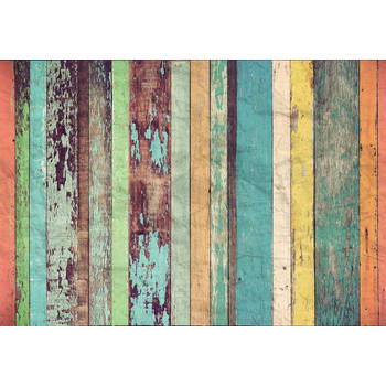 Fotobehang - Colored Wooden Wall 366x254cm - Papierbehang