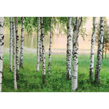 Fotobehang - Nordic Forest 366x254cm - Papierbehang