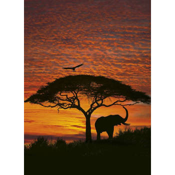 Fotobehang - African Sunset National Geographic 194x270cm - Papierbehang