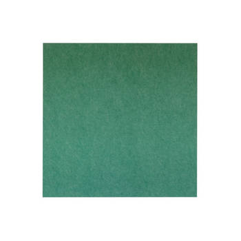 Akoestisch wandpaneel PET-vilt - 100x100 cm - Groen