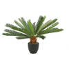 Countryfield kunstplant Cycas revoluta - 65 x 65 x 72 cm