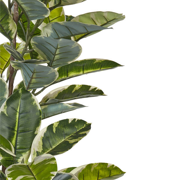 Beliani FICUS ELASTICA - Kunstplant-Groen-Synthetisch materiaal