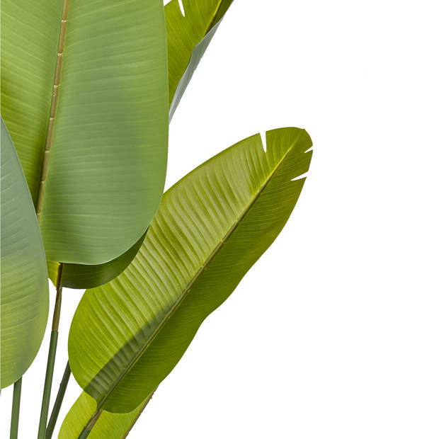 Beliani BANANA TREE - Kunstplant-Groen-Synthetisch materiaal