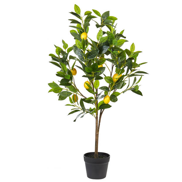 Beliani LEMON TREE - Kunstplant-Groen-Synthetisch materiaal