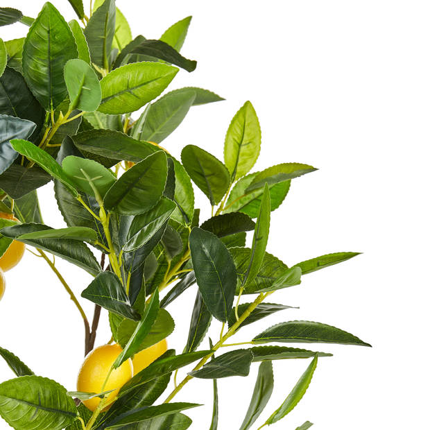 Beliani LEMON TREE - Kunstplant-Groen-Synthetisch materiaal